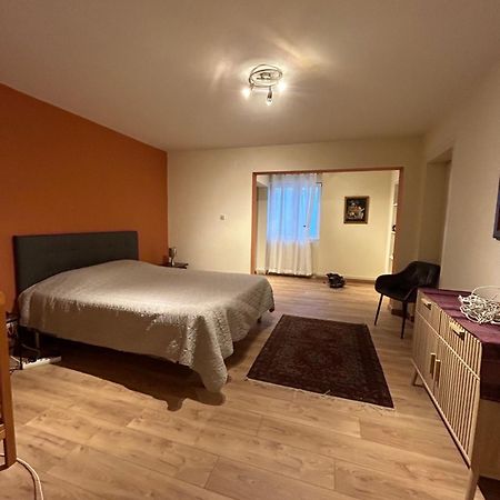 Bel Appartement En Rdc Proche Strasbourg Nice Apartment Very Near Strasbourg Exterior photo