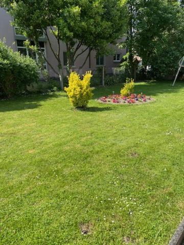 Bel Appartement En Rdc Proche Strasbourg Nice Apartment Very Near Strasbourg Exterior photo